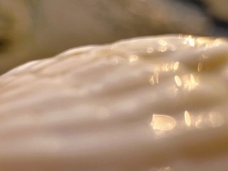 61F8D6FD-6D12-4D66-9E2D-0FD0F92B6CFC/L0/001