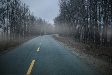 19099