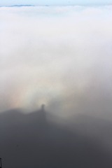 593