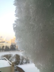 DSC_0484.jpg