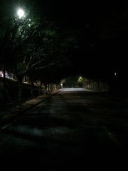DSC_0533.jpg