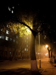 DSC_1519-1