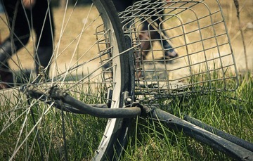 130403bicycle.jpg