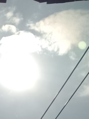 1000016934