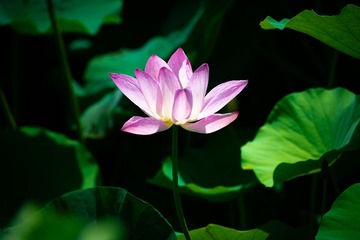 001