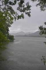 19905