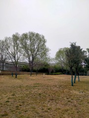 2215406