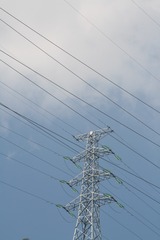 1000020809