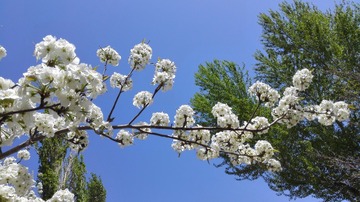 5400
