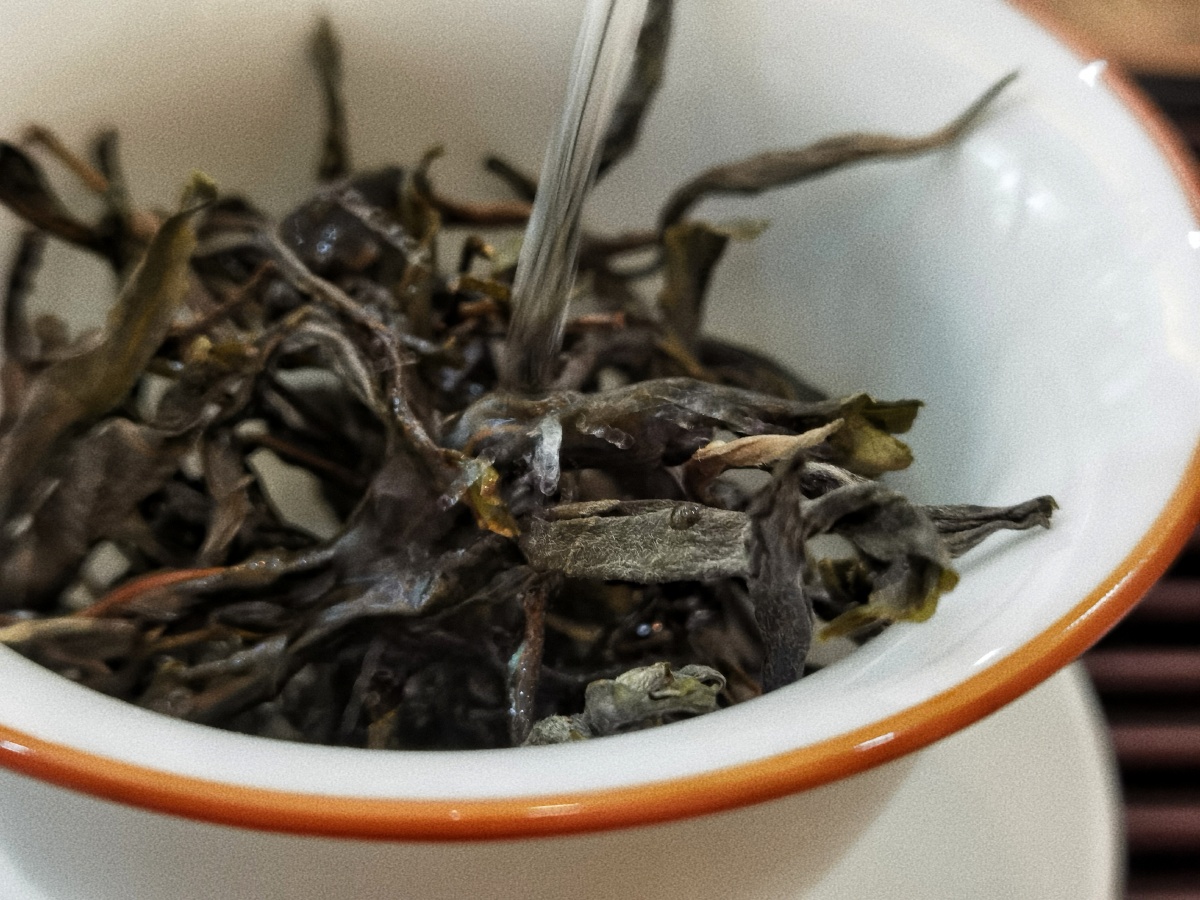 【 2021年61 忙肺正山 古树茶 】 【忙肺核心产区】 源料:忙肺大叶