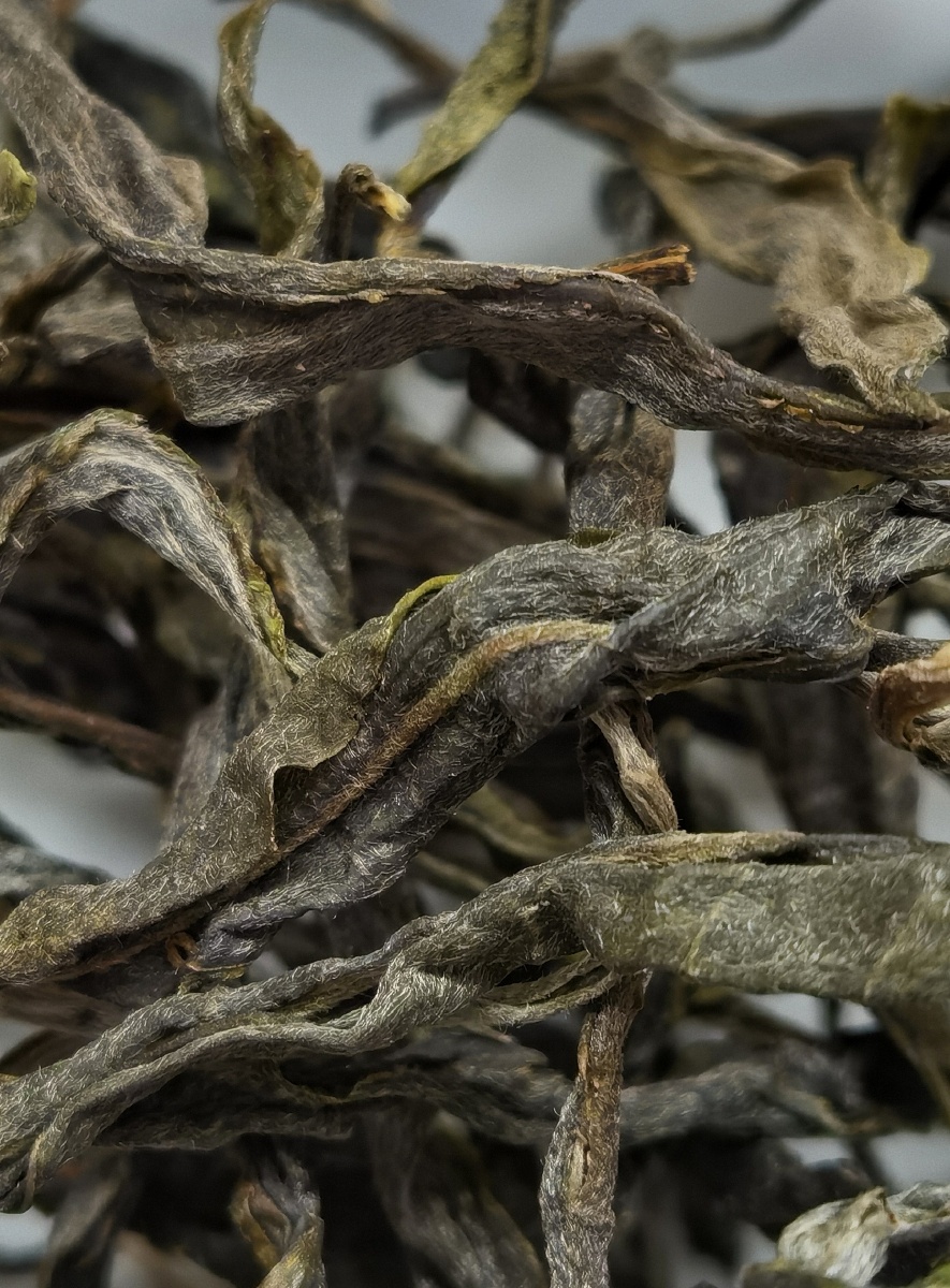 【 2021年61 忙肺正山 古树茶 】 【忙肺核心产区】 源料:忙肺大叶