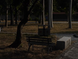 _1050904
