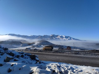 1000117634