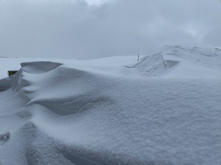 1000117630