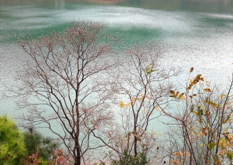 48717