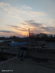 1000009039