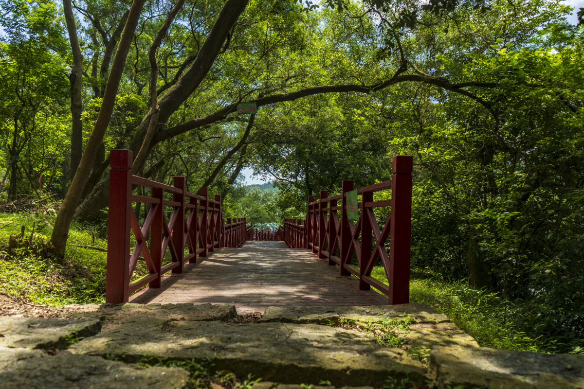 广东省中山市的故事金钟绿道