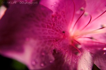 DSC_2804_副本.jpg