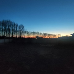 1000034101