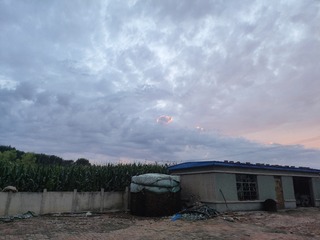 1000013653