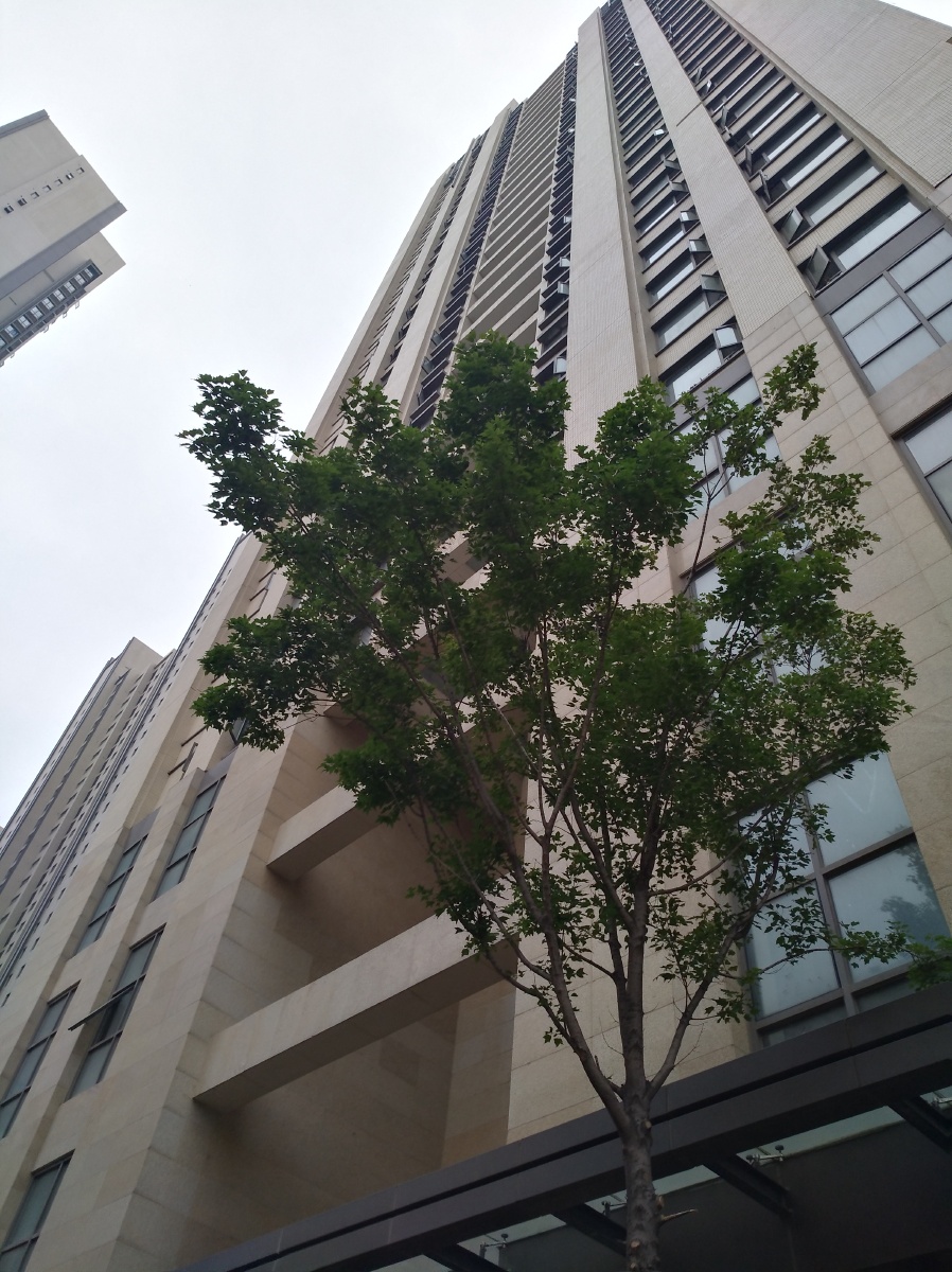 努力- 听风976 - 图虫网 - 最好的摄影师都在这