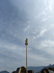 1000034153