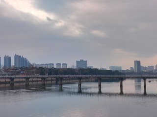 1000163736