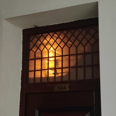 1000169624