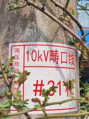 1000167372