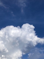 3444