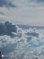 3446