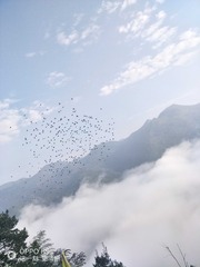 1000149730