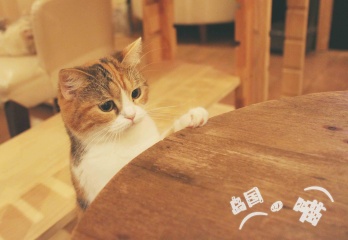 Canon EF-M 22mm f\/2 STM, 样片, 照片, 图片 -