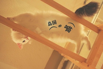 Canon EF-M 22mm f\/2 STM, 样片, 照片, 图片 -