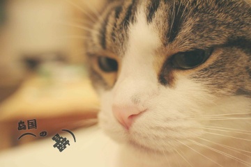 Canon EF-M 22mm f\/2 STM, 样片, 照片, 图片 -