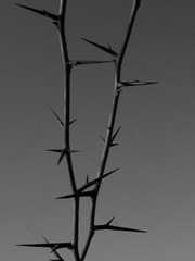 IMG_3562