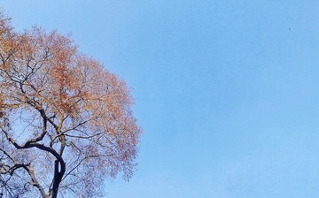 1222618