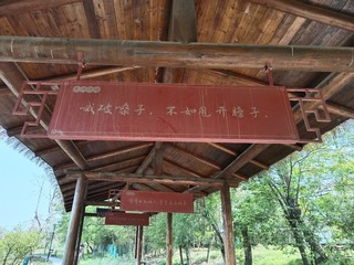 3506