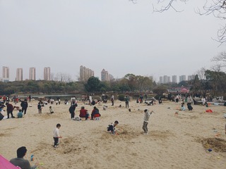 1000116278