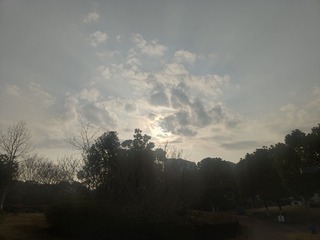 1000116784