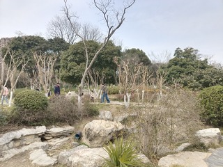 1000116280