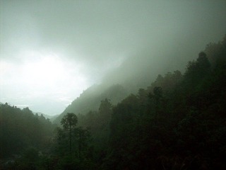 山雨欲来