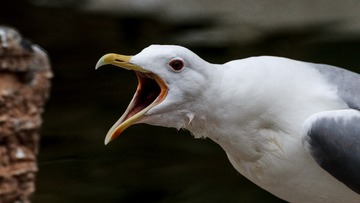 544019