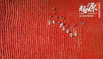 26126840