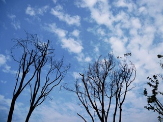 天空❤