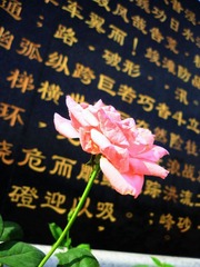 可爱粉