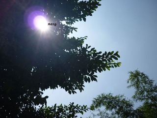 一米阳光