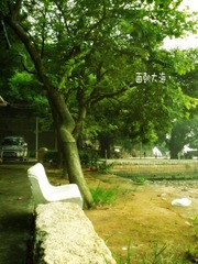 一辈的事