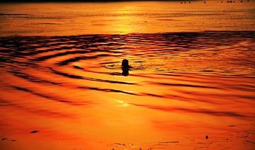 IMG_1327_副本.jpg