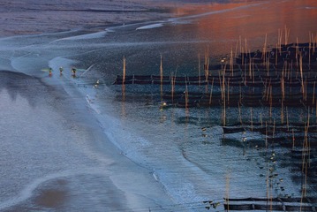 IMG_0329x.JPG